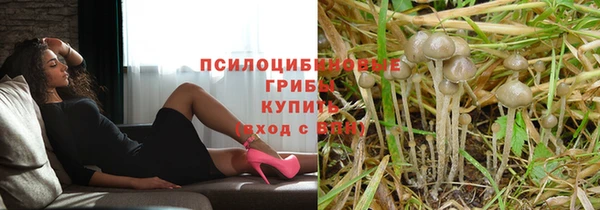 мет Нязепетровск