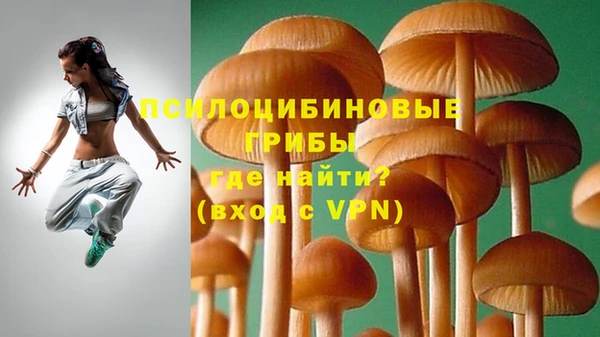 скорость Абаза