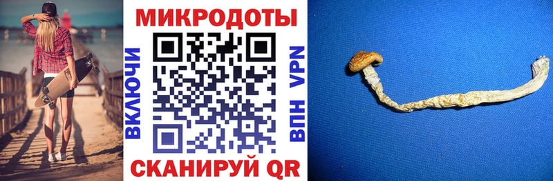 Галлюциногенные грибы Psilocybe Лакинск